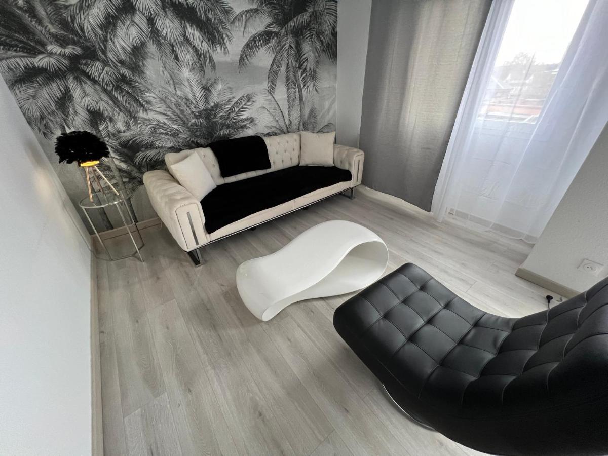 Le Cannois, Appartement De Star 3 Chambres Mulhouse Esterno foto